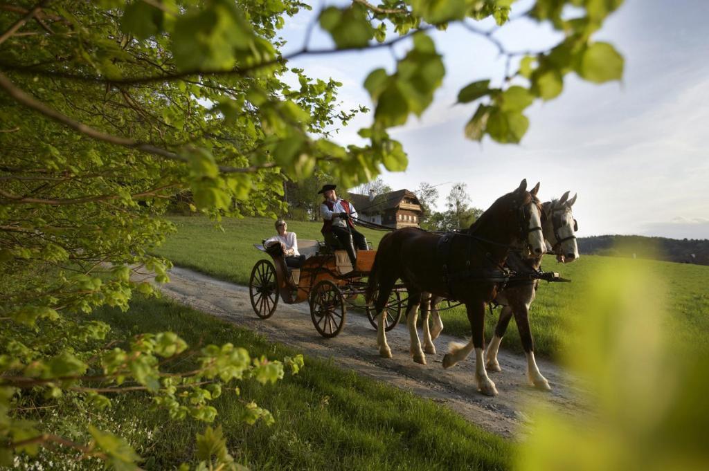 Ferienhaus Troadkasten - Familie Friedrich هارتبرج المظهر الخارجي الصورة